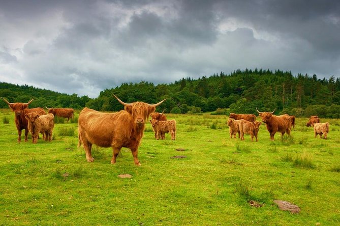 Loch Ness & Urquhart Castle Private Day Tour from Edinburgh - What the 12-hour day is really like