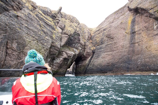 Northern Islands RIB Tour - Eilean Nan Ron And Its Unexpected Sheep