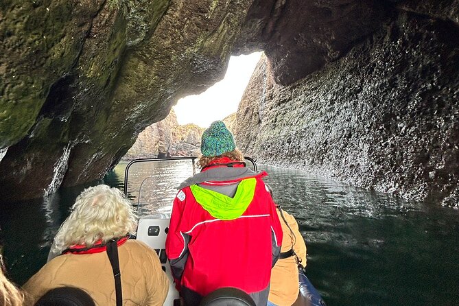 Northern Islands RIB Tour - The Rabbit Islands And The Close-Up Coast