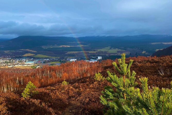 Private Cairngorm National Park tour - Key points at a glance