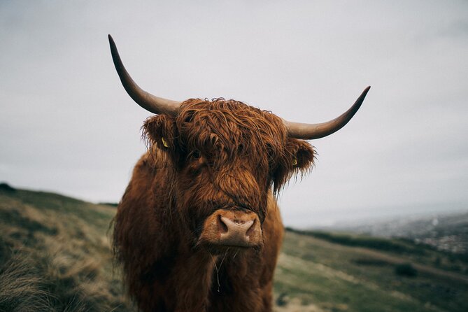 Private Guided Day Tour in Scottish Highlands - What this private Highlands tour is really designed to do