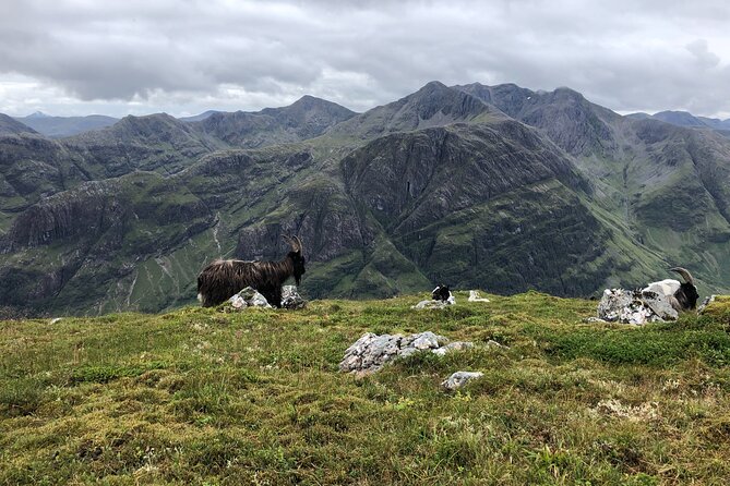 Private Guided Mountain Walking Experience in the Cairngorms - Safety Without Losing the Adventure