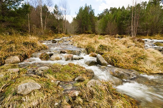 Private Guided Rock Climbing Experience in the Cairngorms - Key points to know before booking