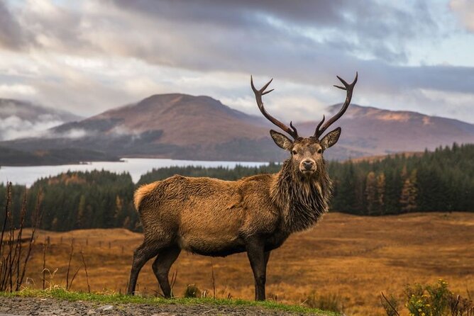 Private Isle of Skye Tour - Key points at a glance