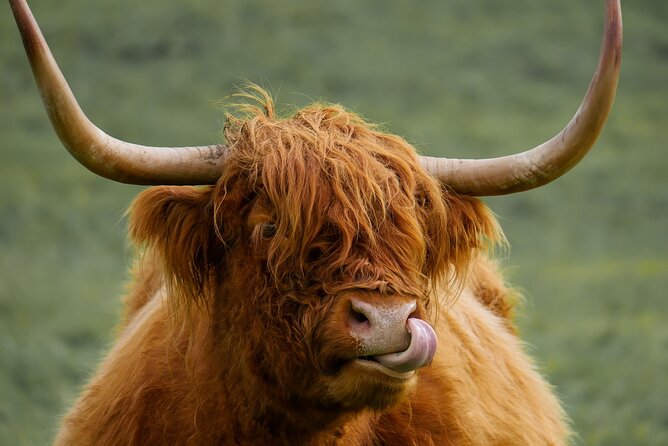 Private Luxury Mini Highlands Tour From Edinburgh - Braveheart - Stirling Castle deserves your paid time