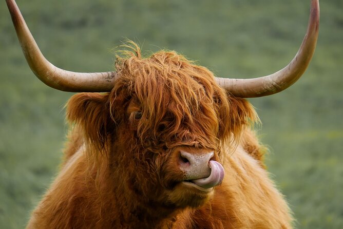 Private Luxury Tour of Loch Lomond, Glencoe & The Highlands - Why this private Highland tour works