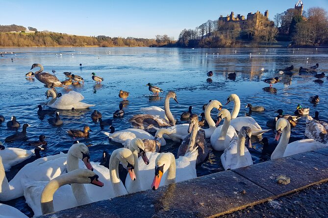 Private Luxury Tour of Loch Lomond, Glencoe & The Highlands - Oban adds seafood and a coastal pause