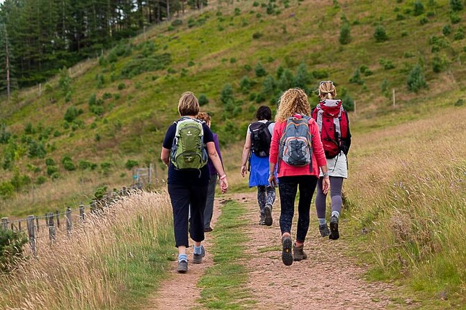 Private Mindfulness and Nature Walk in Edinburgh - What the 90-minute session is likely to feel like