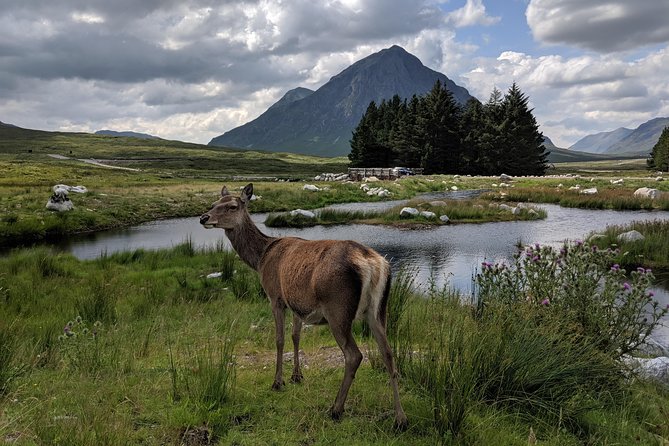 Private One Day Highlands Tour of Scotland - Glencoe and the Three Sisters