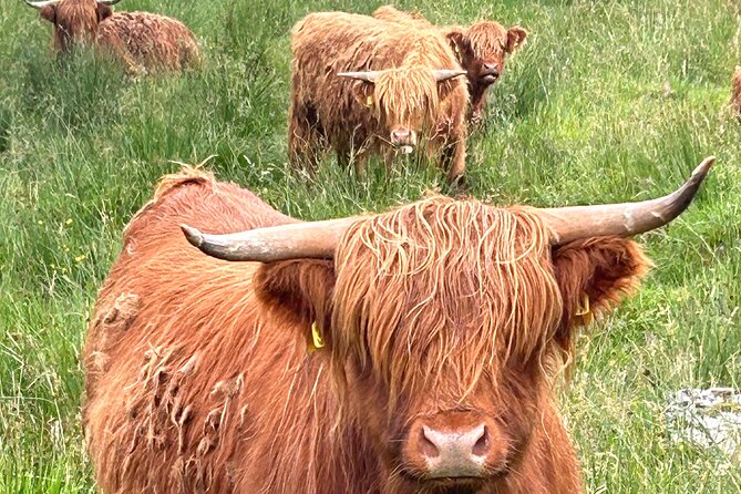 Private Tour of Loch Ness, Glencoe and Highlands from Edinburgh - Rannoch Moor and Loch Tulla