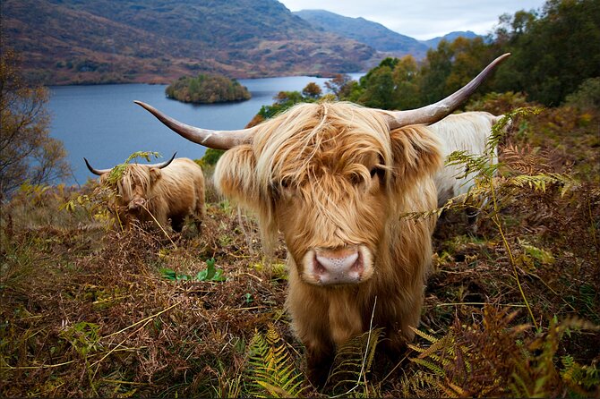 Private Tour of Loch Ness, Glencoe and Highlands from Edinburgh - Fort Augustus and the Loch Ness Choice
