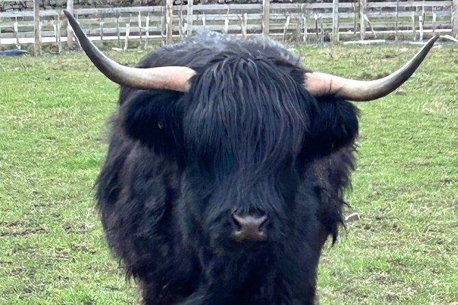 Private Tour of the Highlands, Glencoe and Castles from Stirling - Why this private Stirling tour works well