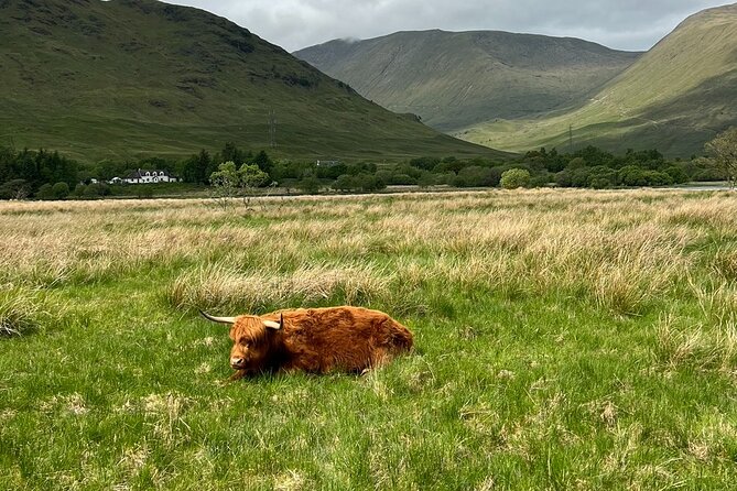 Private Tour to the Stunning Scottish Highlands & Glencoe - Glencoe delivers the biggest views