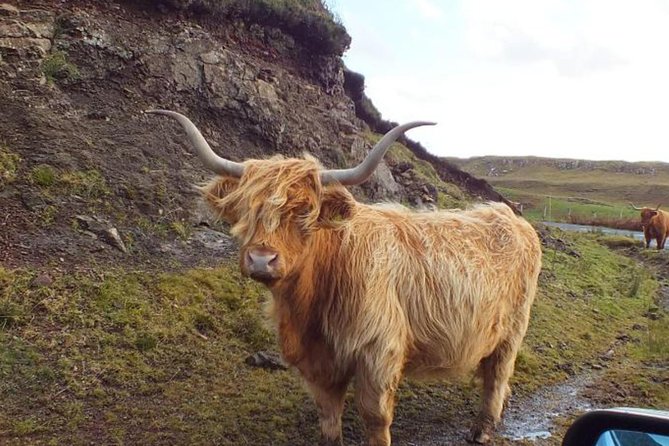 Scotland Tours - Is $951.25 good value?