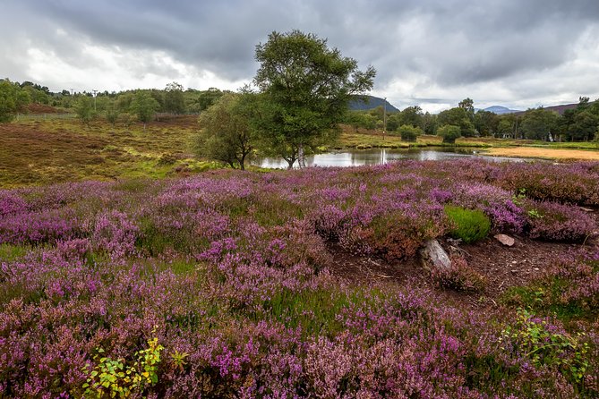 Scottish Highland Games Day Trip from Edinburgh - Luss on July 5