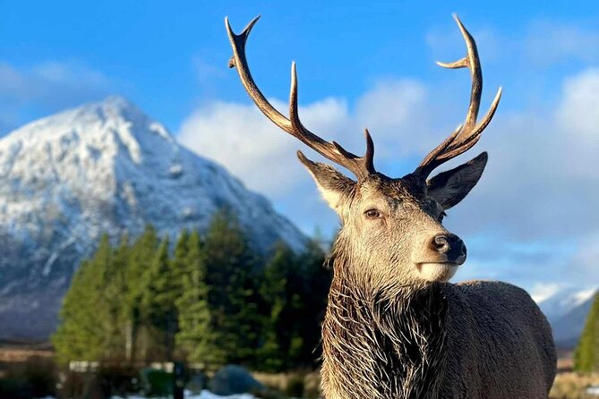 Scottish Highlands, Loch Ness and Glencoe Day Trip from Edinburgh - Loch Ness and the choice between shore or cruise