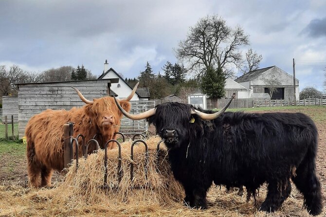 Scottish Whisky Distillery & Fairytale Dunrobin Castle - Struie Hill gives you the first big view