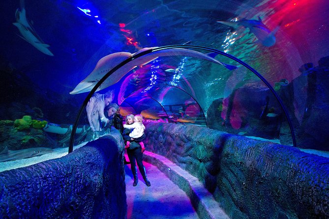 SEA LIFE Loch Lomond General Admission Ticket - Starting with lionfish and scorpion fish
