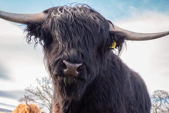 Secret Loch Ness, Inverness Castle visit, Culloden, Clava Cairns - Why this Highland day works