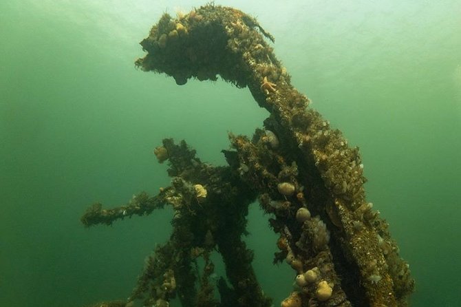 Shipwreck Hunters - Why the MV Captayannis is worth seeing