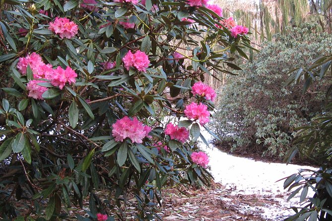 Skip-the-Line: Botanic Garden Entry Ticket - Views, café stops, and quiet corners