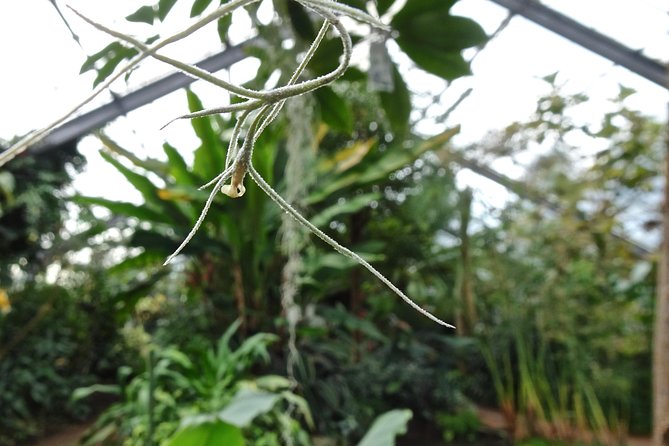 Skip-the-Line: Botanic Garden Entry Ticket - Entering Dundee Botanic Garden