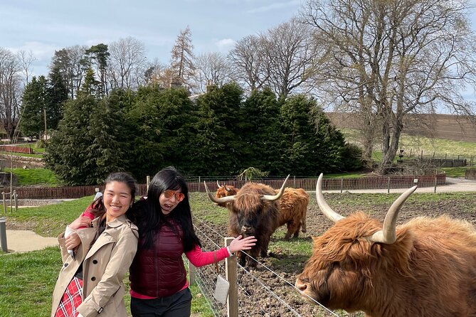 Speyside Whisky Tour - Building a whisky day around your taste