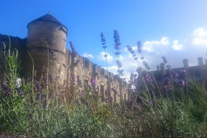 St Andrews, Falkland and Fife Villages Tour from Edinburgh - Anstruther Harbour and the East Neuk of Fife