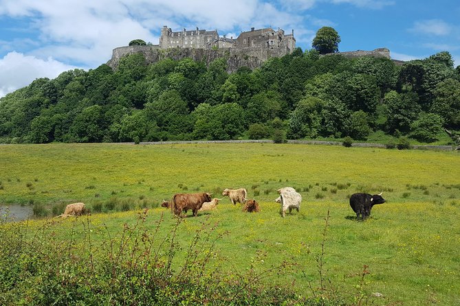 Stirling Castle, Trossachs, Loch Lomond and Whisky Tour - Loch Lubnaig and the quick Trossachs pause