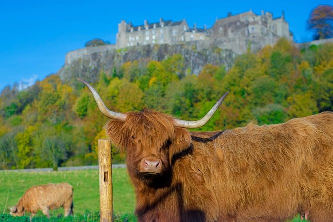Stirling Castle,Trossachs National and Loch Lomond Day Tour from Edinburgh - Why this central Scotland day trip works