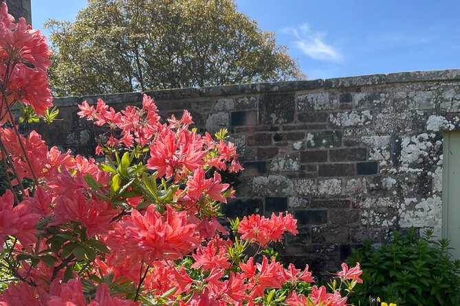Stone & Story: Rosslyn Chapel & Melrose Abbey Private Day Trip - Dryburgh Abbey and Sir Walter Scott’s final resting place