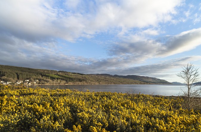The Complete Loch Ness Experience Small-Group Day Tour from Inverness - Lunch brings a choice of Fort Augustus or Drumnadrochit