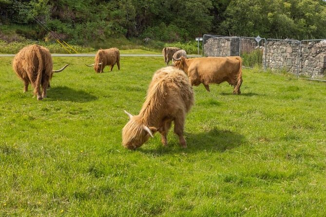 Wild West Coast Adventure (Part 1) - From Inverness to Loch Ness and Invermoriston